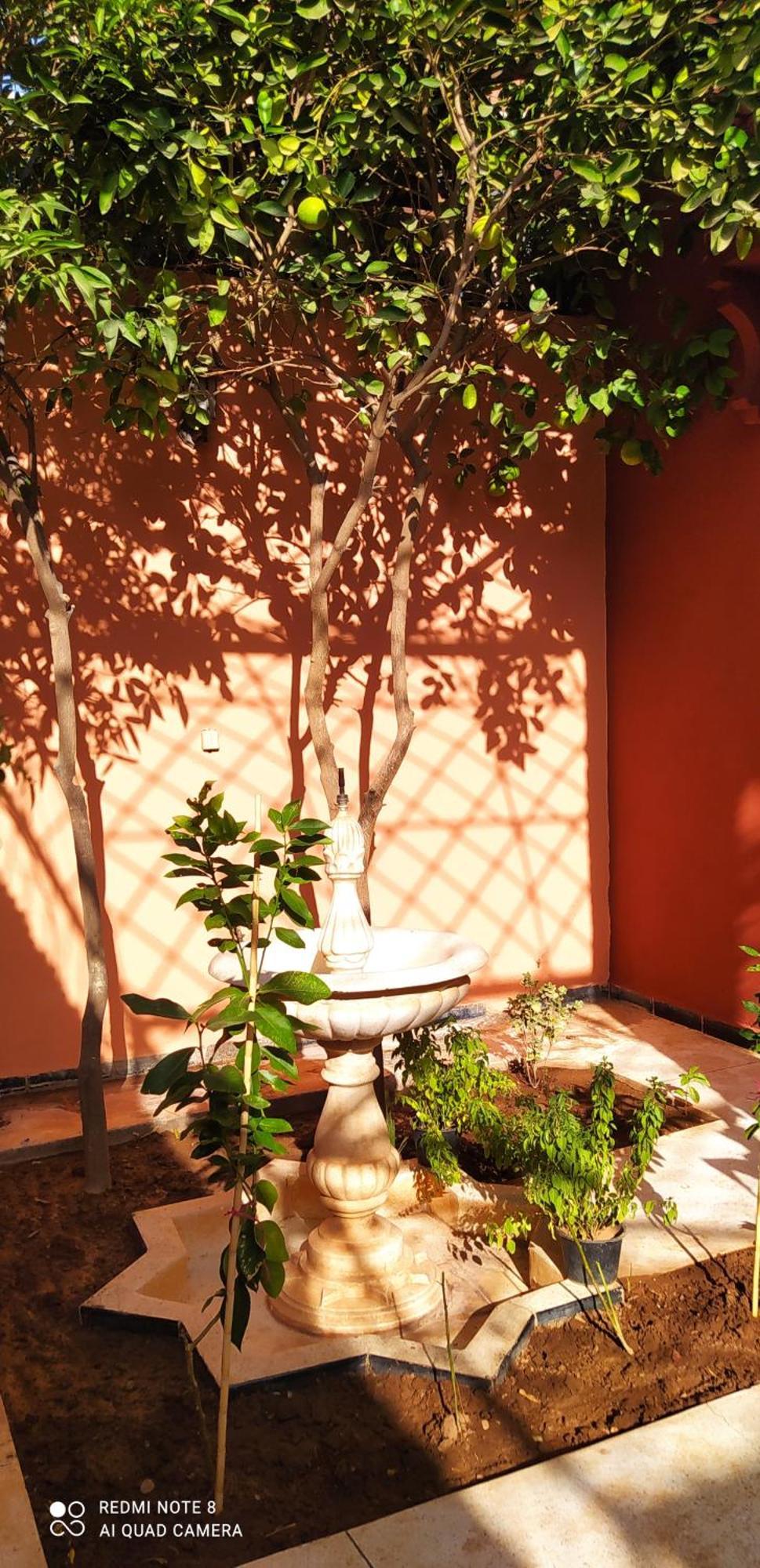 Maison D'Hotes Le Petit Jardin Marrakech Marrakesh Eksteriør bilde
